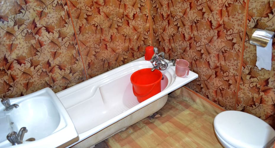 New Lady of Shalot Houseboat, Srinagar 3